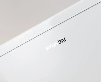 Холодильник Hyundai CO1002 1-нокамерн. белый - цена, купить или заказать с доставкой в интернет-магазине Холодильник Hyundai CO1002 1-нокамерн. белый - купить недорого с доставкой в интернет-магазине