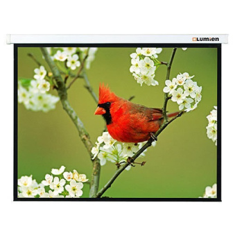 Экран Lumien 171x128см Master Picture LMP-100108 4:3 настенно-потолочный рулонный белый - купить недорого с доставкой в интернет-магазине