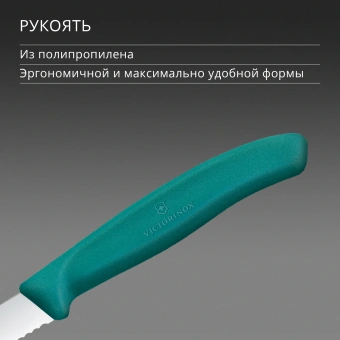 Нож кухонный Victorinox Swiss Classic (6.7634.C1) стальной столовый для чистки овощей и фруктов лезв.80мм серрейт. заточка зеленый - купить недорого с доставкой в интернет-магазине