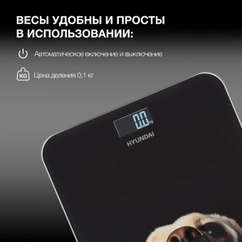 Весы напольные электронные Hyundai H-BS03674 макс.180кг черный - купить недорого с доставкой в интернет-магазине