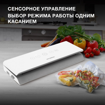 Вакуумный упаковщик Hyundai HY-VA2002 100Вт белый/серый - купить недорого с доставкой в интернет-магазине