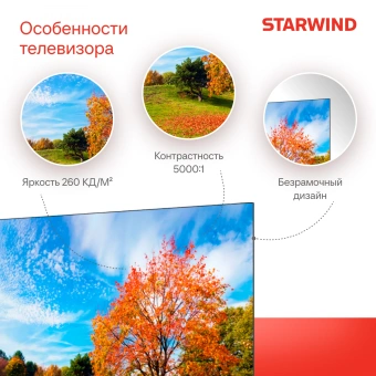 Телевизор LED Starwind 55" SW-LED55UG403 Яндекс.ТВ Frameless черный 4K Ultra HD 60Hz DVB-T DVB-T2 DVB-C DVB-S DVB-S2 USB WiFi Smart TV - купить недорого с доставкой в интернет-магазине