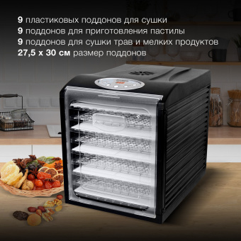 Сушка для фруктов и овощей Hyundai HYFD-1802 27под. 700Вт черный - купить недорого с доставкой в интернет-магазине