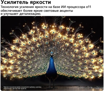 Телевизор OLED LG 55" OLED55C6RLA.ARU черный/серебристый 4K Ultra HD 120Hz DVB-T DVB-T2 DVB-C DVB-S2 USB WiFi Smart TV (RUS) - купить недорого с доставкой в интернет-магазине