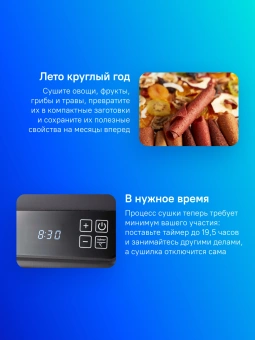 Сушка для фруктов и овощей Kitfort КТ-1905 18под. 500Вт черный - купить недорого с доставкой в интернет-магазине