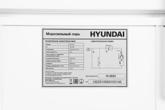 Морозильный ларь Hyundai CH1002 белый 70Вт - купить недорого с доставкой в интернет-магазине