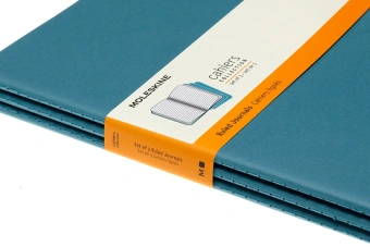 Блокнот Moleskine CAHIER JOURNAL CH023B44 XLarge 190х250мм обложка картон 120стр. нелинованный голубой (3шт) - купить недорого с доставкой в интернет-магазине