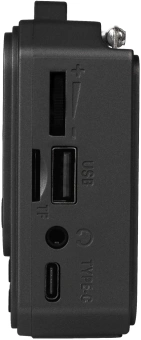 Радиоприемник портативный Ritmix RPR-010 серый USB microSD - купить недорого с доставкой в интернет-магазине