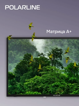 Телевизор LED PolarLine 32" 32PL13TC-SM черный HD 60Hz DVB-T DVB-T2 DVB-C USB WiFi Smart TV (RUS) - купить недорого с доставкой в интернет-магазине