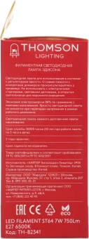 Лампа филам. Thomson Filament TH-B2341 7Вт цок.:E27 эдисон 220B св.свеч.бел.хол. ST64 (упак.:1шт) - купить недорого с доставкой в интернет-магазине
