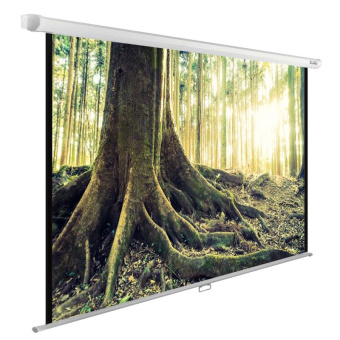 Экран Cactus 122" 220x220см WallExpert CS-PSWE-220x220-WT 1:1 настенно-потолочный рулонный - купить недорого с доставкой в интернет-магазине