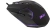 Мышь Acer OMW170 черный оптическая 3200dpi USB 6but (ZL.MCEEE.00R) - цена, купить или заказать с доставкой в интернет-магазине Мышь Acer OMW170 черный оптическая 3200dpi USB 6but (ZL.MCEEE.00R) - купить недорого с доставкой в интернет-магазине