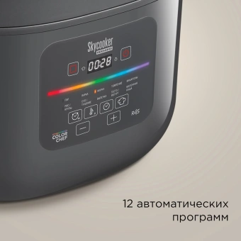 Мультиварка Redmond MC100S 5л 860Вт серый - купить недорого с доставкой в интернет-магазине
