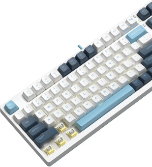 Клавиатура A4Tech FS300 механическая белый/синий USB for gamer LED (FS300 PANDA SNOWBOARDING) кабель 1.8м - купить недорого с доставкой в интернет-магазине