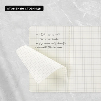 Блокнот Moleskine CAHIER JOURNAL QP312 Pocket 90x140мм обложка картон 64стр. клетка черный (3шт) - купить недорого с доставкой в интернет-магазине