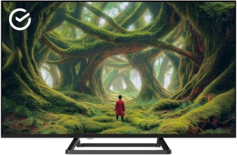 Телевизор LED Sber 32" SDX-32H3114 Салют ТВ Frameless черный HD 60Hz DVB-T DVB-T2 DVB-C DVB-S DVB-S2 USB WiFi Smart TV - купить недорого с доставкой в интернет-магазине