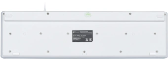 Клавиатура Оклик 550ML белый USB slim Multimedia LED - цена, купить или заказать с доставкой в интернет-магазине Клавиатура Оклик 550ML белый USB slim Multimedia LED - купить недорого с доставкой в интернет-магазине