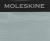 РюкзакДА Moleskine JOURNEY PACKABLE (ET9JPDPK42) 6.5x40 0.137кг. полиамид светло-зеленый - купить недорого с доставкой в интернет-магазине