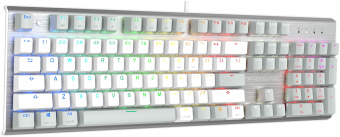 Клавиатура A4Tech Fstyler FS100 Neon механическая серый/белый USB for gamer LED (FS100) - купить недорого с доставкой в интернет-магазине