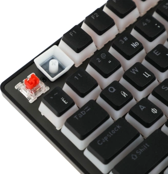 Клавиатура Acer Nitro OKW303 механическая черный USB for gamer LED (ZL.KBDCC.01D) - купить недорого с доставкой в интернет-магазине
