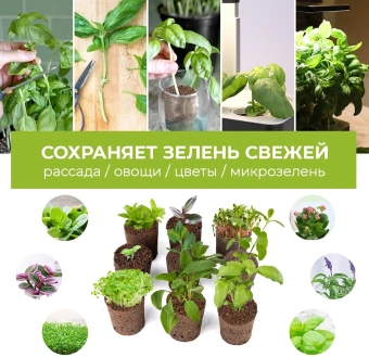 Набор питательных губок Cactus CS-SPONGE-10 для проращивания для CS-LEDPOT-06/08/10 (упак.:10шт) пакет - купить недорого с доставкой в интернет-магазине