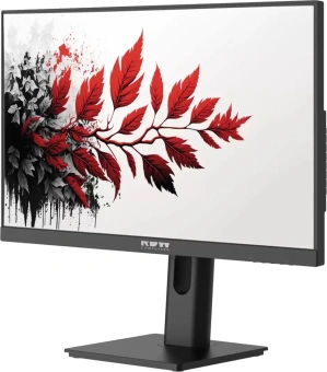 Монитор RDW Computers 27" RDW2701K черный IPS 5ms 16:9 HDMI M/M матовая 1000:1 300cd 178гр/178гр 1920x1080 120Hz VGA DP FHD (RUS) - купить недорого с доставкой в интернет-магазине