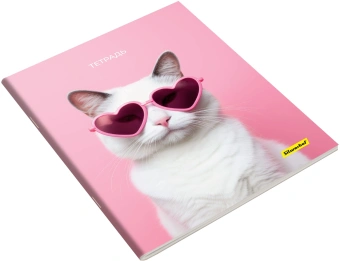 Набор тетрадей Silwerhof 48л. лин. A5 Нежность 4диз. мел.карт. вод.лак скрепка (упак.:4шт) - купить недорого с доставкой в интернет-магазине