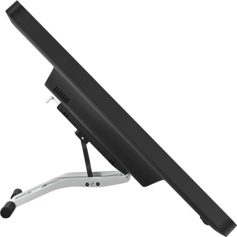 Графический планшет-монитор Huion Kamvas Pro 24 USB Type-C черный - купить недорого с доставкой в интернет-магазине