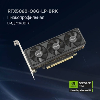 Видеокарта Asus PCI-E 4.0 RTX5060-O8G-LP-BRK NVIDIA GeForce RTX 5060 8Gb 128bit GDDR7 2550/28000 HDMIx1 DPx3 HDCP Ret - купить недорого с доставкой в интернет-магазине