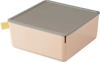 Короб для хранения Deli XDM11pink 1отд. 212x212x93.5мм розовый/серый пластик - купить недорого с доставкой в интернет-магазине