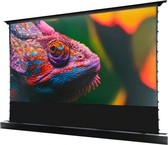 Экран Cactus 148x263см FloorRising CS-PSFRCLR-263X148 16:9 напольный рулонный черный (моторизованный привод) - купить недорого с доставкой в интернет-магазине