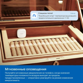 Датчик темпер./влажн. TP-Link Tapo T310 белый - купить недорого с доставкой в интернет-магазине