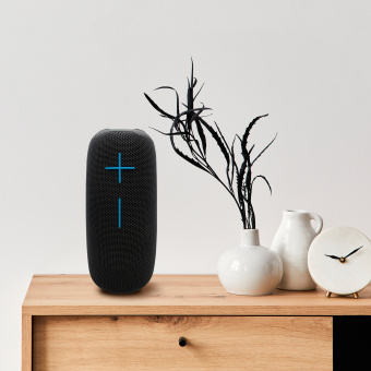 Колонка порт. SunWind SW-PS106 черный 10W 1.0 BT/3.5Jack/USB 10м 2400mAh - купить недорого с доставкой в интернет-магазине