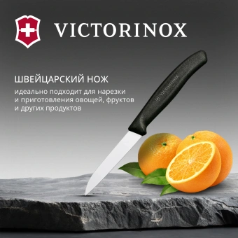 Нож кухонный Victorinox Swiss Classic (6.7403) стальной для овощей лезв.80мм прямая заточка черный - купить недорого с доставкой в интернет-магазине