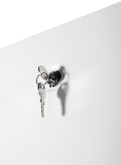 Шкаф серверный ЦМО (ШТК-Э-42.8.10-44АА) напольный 42U 800x1000мм пер.дв.перфор. задн.дв.перфор. 2 бок.пан. направл.под закл.гайки 710кг серый 915мм 114кг 180град. 1987мм IP20 сталь - купить недорого с доставкой в интернет-магазине