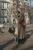 Сумка кросс-боди женская The Bridge Mia 04341601/14 коричневая натур.кожа - купить недорого с доставкой в интернет-магазине