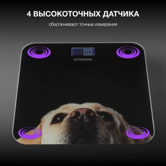 Весы напольные электронные Hyundai H-BS03674 макс.180кг черный - купить недорого с доставкой в интернет-магазине