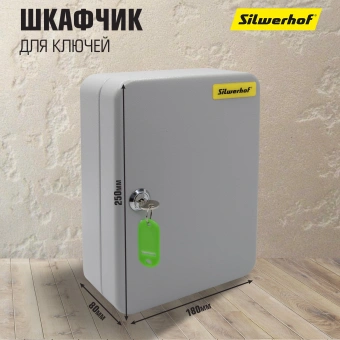 Шкафчик для ключей Silwerhof на 48ключ. 250х180х80мм комппл.48 брелков серый металл - купить недорого с доставкой в интернет-магазине