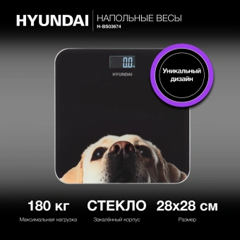 Весы напольные электронные Hyundai H-BS03674 макс.180кг черный - купить недорого с доставкой в интернет-магазине