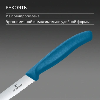 Нож кухонный Victorinox Swiss Classic 6.7832.C1 стальной универсальный для томатов лезв.110мм серрейт. заточка синий - купить недорого с доставкой в интернет-магазине