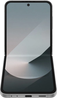 Смартфон Samsung SM-F741B Galaxy Z Flip 6 256Gb 12Gb серый раскладной 3G 4G 1Sim 6.7" 1080x2640 Android 14 50Mpix 802.11 a/b/g/n/ac/ax NFC GPS GSM900/1800 GSM1900 Protect - купить недорого с доставкой в интернет-магазине