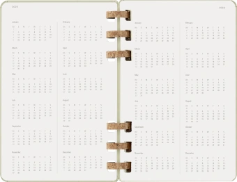 Еженедельник Moleskine ACADEMIC SPIRAL DHSPK5212AMWH3 Large 150х210мм 200стр. кремовые страницы спираль киви - купить недорого с доставкой в интернет-магазине