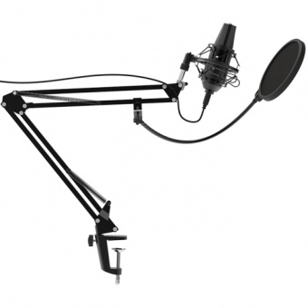 Микрофон проводной Ritmix RDM-180 2.5м черный - купить недорого с доставкой в интернет-магазине