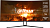 Монитор Dahua 34" DHI-LM34-E330C черный VA LED 21:9 HDMI матовая 3000:1 350cd 178гр/178гр 3440x1440 165Hz VGA DP Quad 2K (1440p) 7.24кг