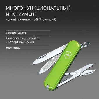 Нож перочинный Victorinox Classic SD Smashed Avocado (0.6223.43G) 58мм 7функц. подар.коробка - купить недорого с доставкой в интернет-магазине