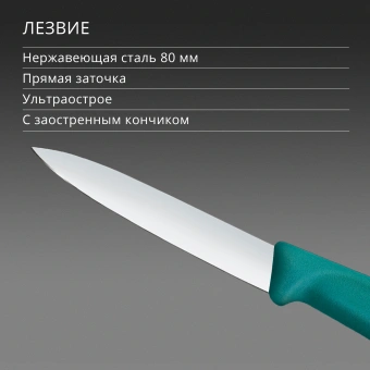 Нож кухонный Victorinox Swiss Classic 6.7604.C1 для чистки овощей и фруктов лезв.80мм прямая заточка зеленый - купить недорого с доставкой в интернет-магазине