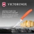 Нож кухонный Victorinox Swiss Classic (6.7739.C1) стальной универсальный для чистки овощей и фруктов лезв.100мм серрейт. заточка оранжевый - купить недорого с доставкой в интернет-магазине