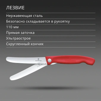 Нож кухонный Victorinox Swiss Classic 6.7801.FC1 стальной столовый лезв.110мм прямая заточка красный карт.коробка - купить недорого с доставкой в интернет-магазине