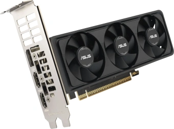 Видеокарта Asus PCI-E 4.0 RTX5060-O8G-LP-BRK NVIDIA GeForce RTX 5060 8Gb 128bit GDDR7 2550/28000 HDMIx1 DPx3 HDCP Ret - купить недорого с доставкой в интернет-магазине