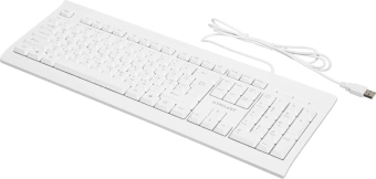 Моноблок Teclast K24 Air 23.8" Full HD i5 14450HX (2.4) 16Gb SSD512Gb UHDG Windows 11 Pro GbitEth WiFi BT 120W клавиатура мышь белый 1920x1080 - купить недорого с доставкой в интернет-магазине